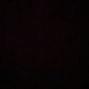 Meet your Posher, Larry